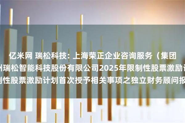 亿米网 瑞松科技: 上海荣正企业咨询服务（集团）股份有限公司关于广州瑞松智能科技股份有限公司2025年限制性股票激励计划首次授予相关事项之独立财务顾问报告内容摘要