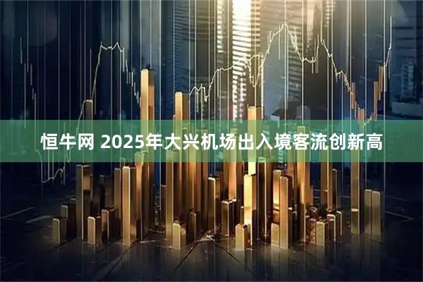 恒牛网 2025年大兴机场出入境客流创新高