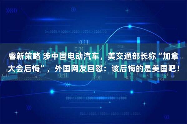 睿新策略 涉中国电动汽车，美交通部长称“加拿大会后悔”，外国网友回怼：该后悔的是美国吧！