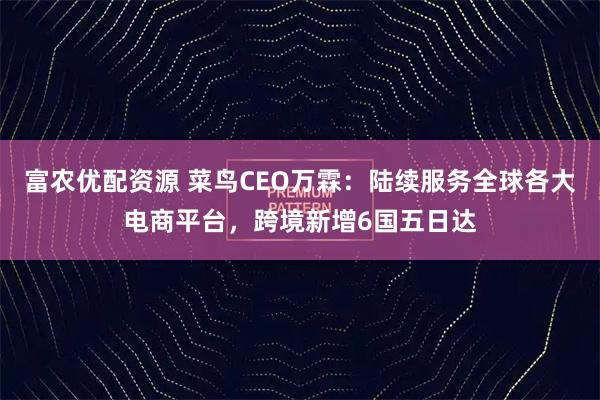 富农优配资源 菜鸟CEO万霖：陆续服务全球各大电商平台，跨境新增6国五日达